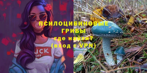 мет Арсеньев
