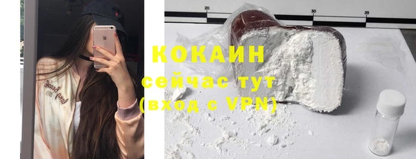 гашик Аркадак