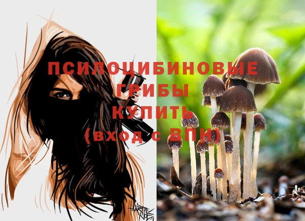 мет Арсеньев