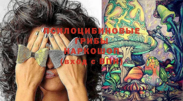 PSILOCYBIN Армянск