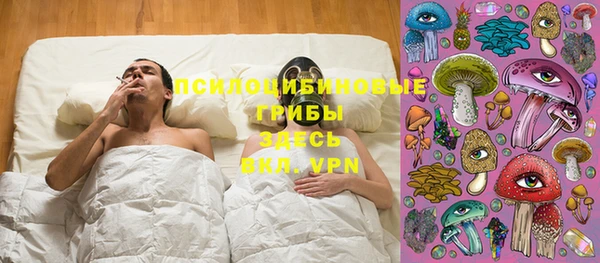 гашик Аркадак