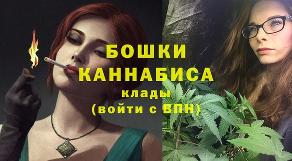 PSILOCYBIN Армянск