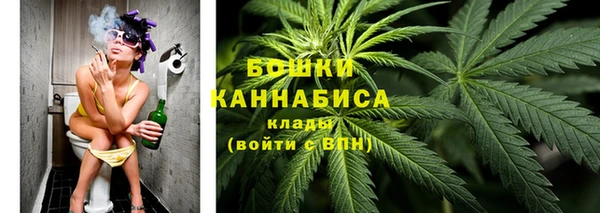 гашик Аркадак