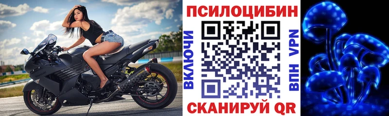 Галлюциногенные грибы Psilocybine cubensis  Армянск 